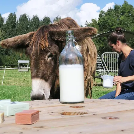 La Ferme Du Marais Poitevin - Roulotte Κάμπινγκ *