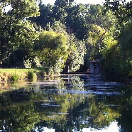 Κάμπινγκ La Ferme Du Marais Poitevin - Roulotte